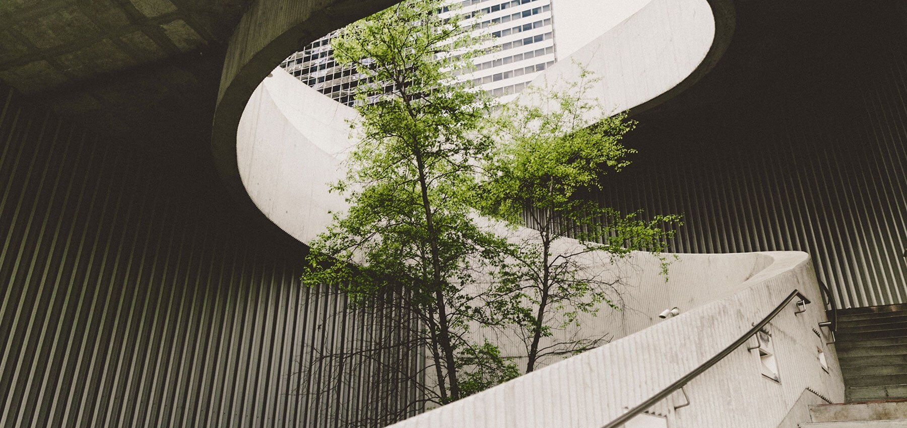 regenerative business