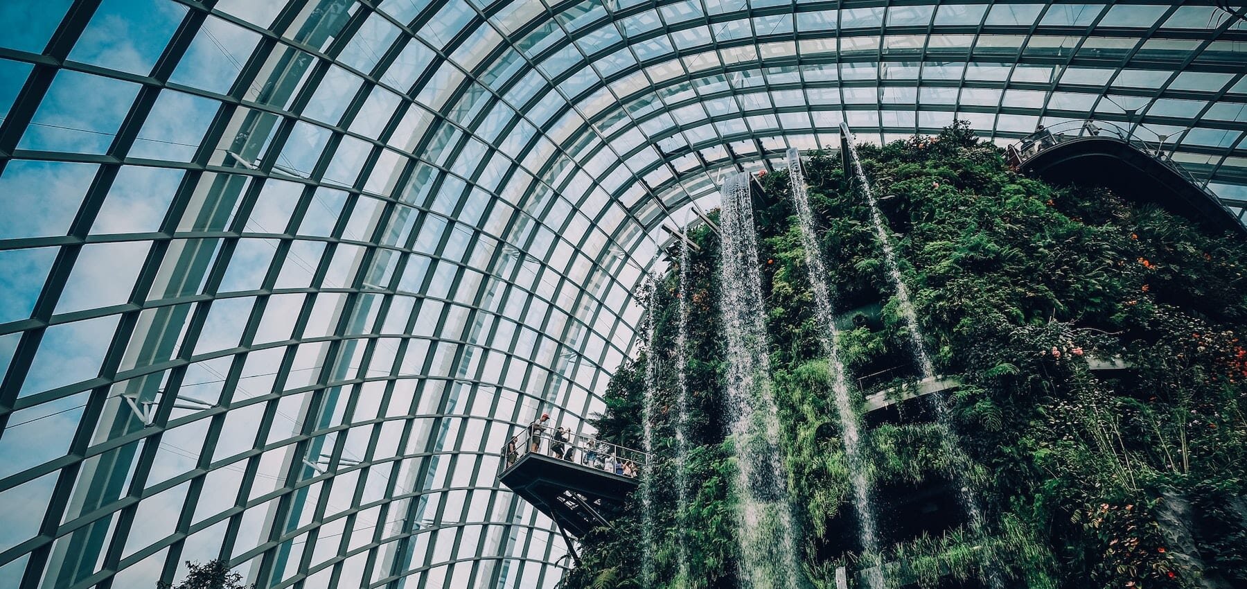 Singapore Private Wealth Structure