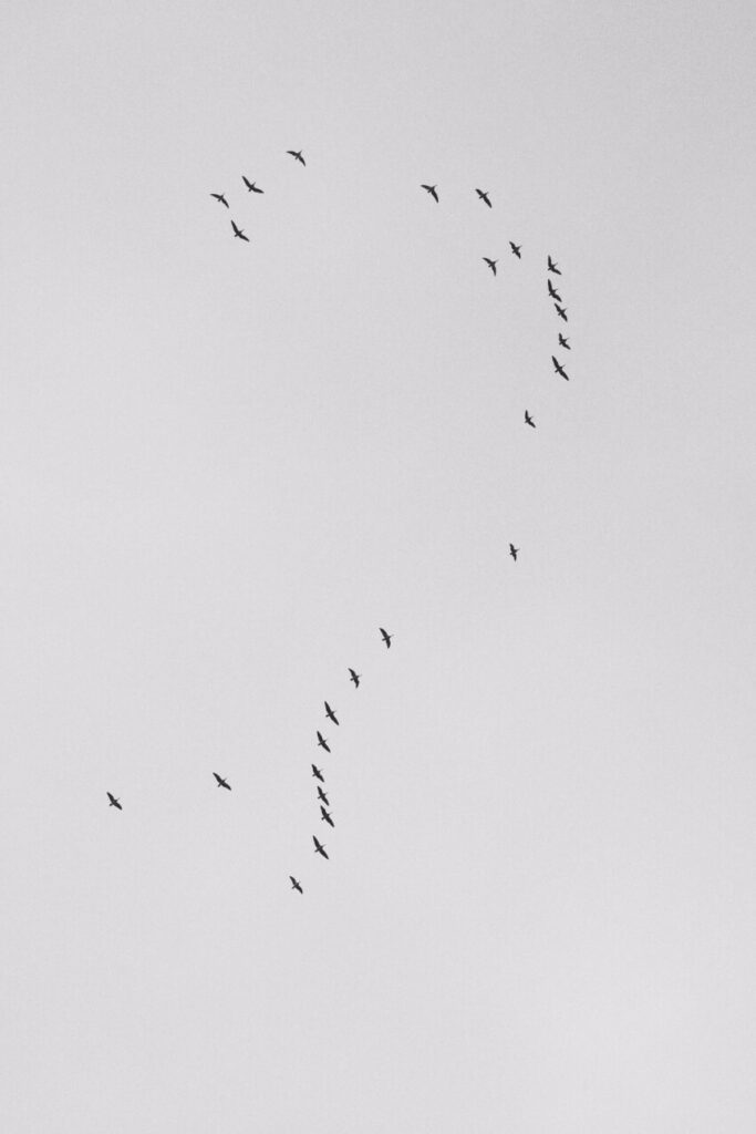 impact investment strategy impact investment strategy