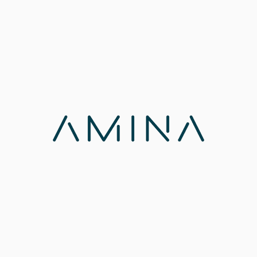 Amina Group Amina Group