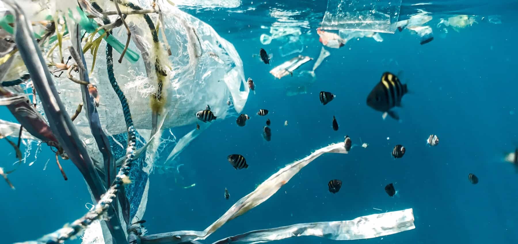 investing ocean conservation