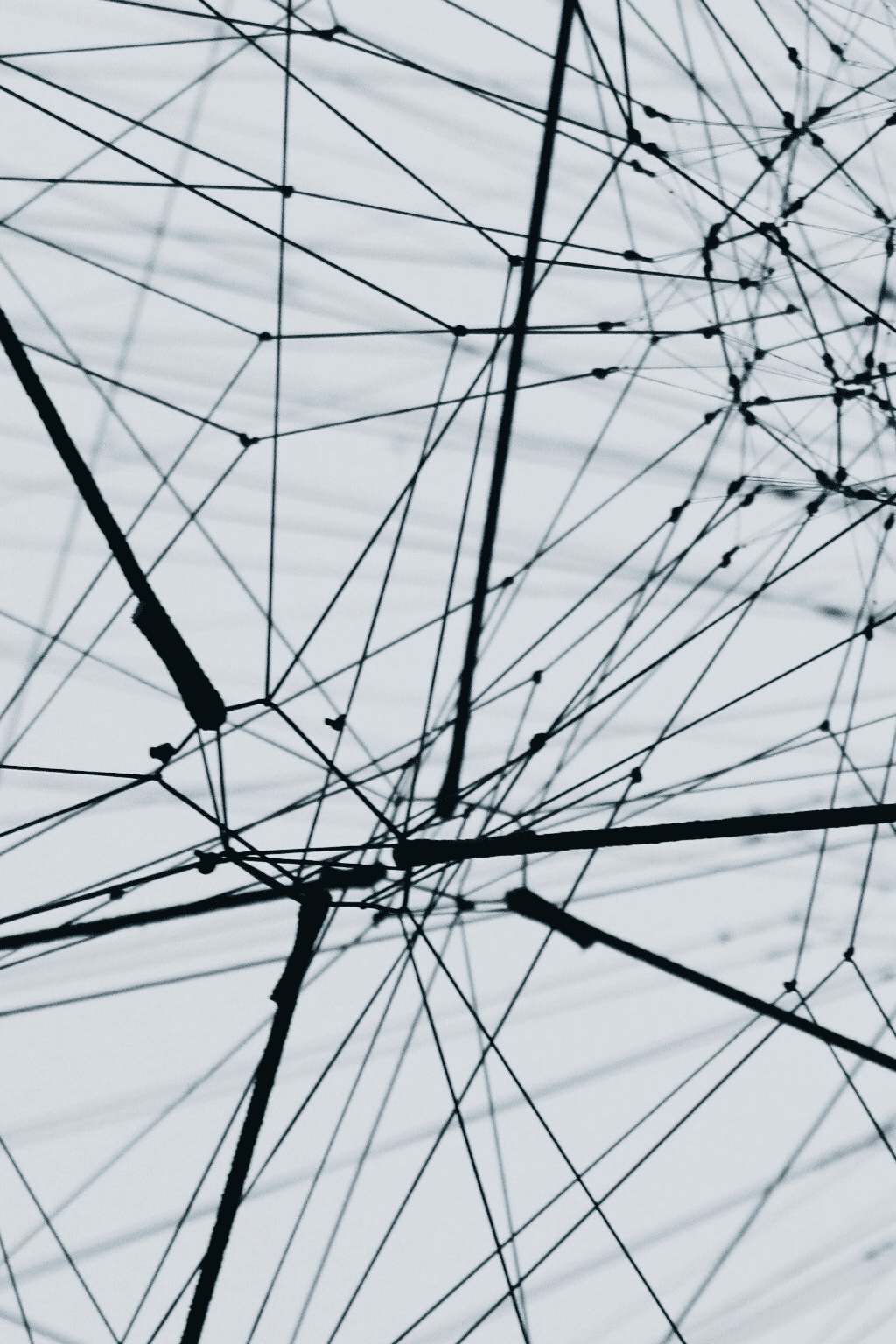 Security & Risk Guide 1