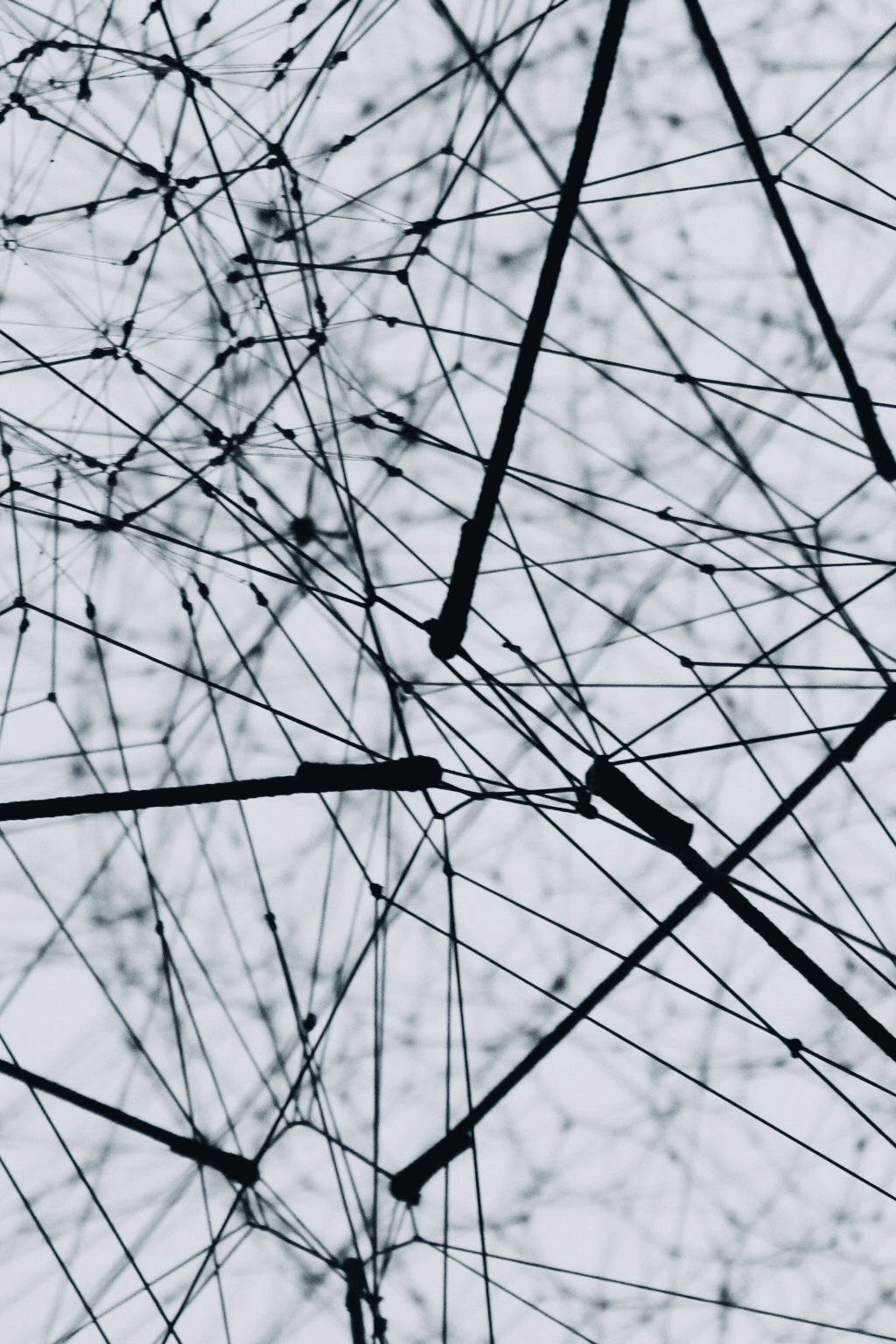 Security & Risk Guide 2