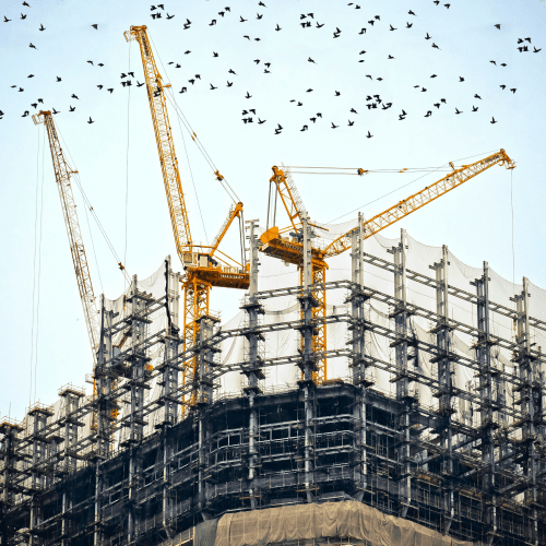 Family office software: The build vs buy dilemma