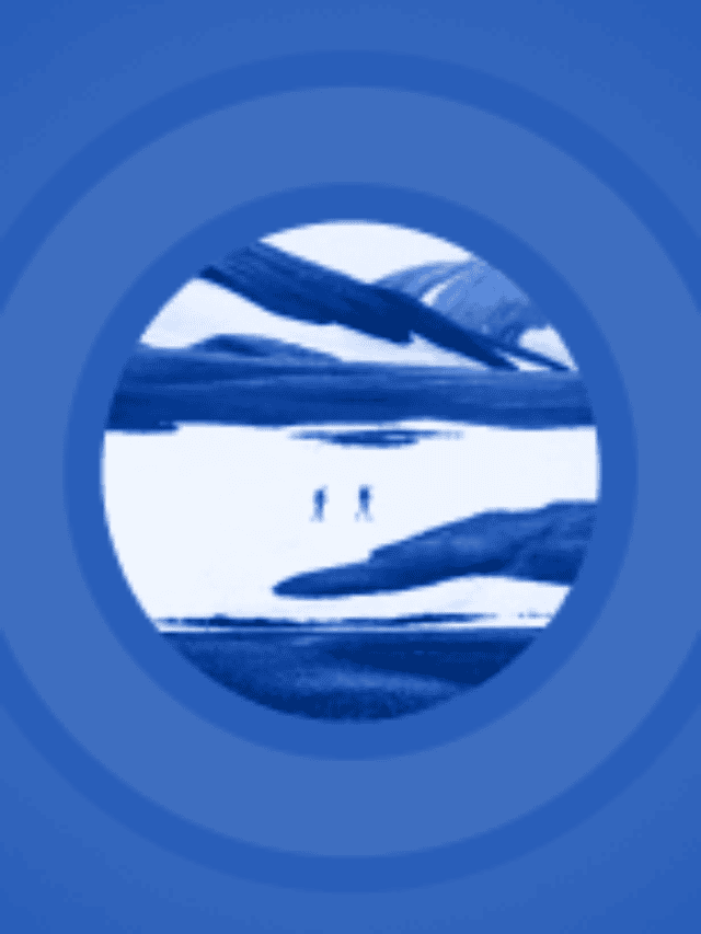 Key themes for the year ahead