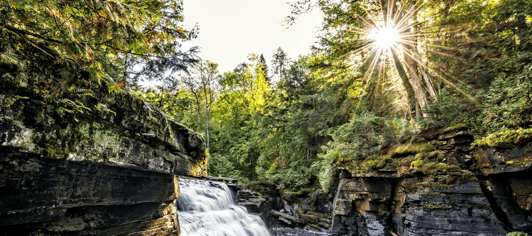 brand-philanthropy-family-offices-feature brand-philanthropy-family-offices-feature