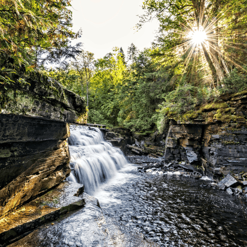 brand philanthropy family offices brand philanthropy family offices