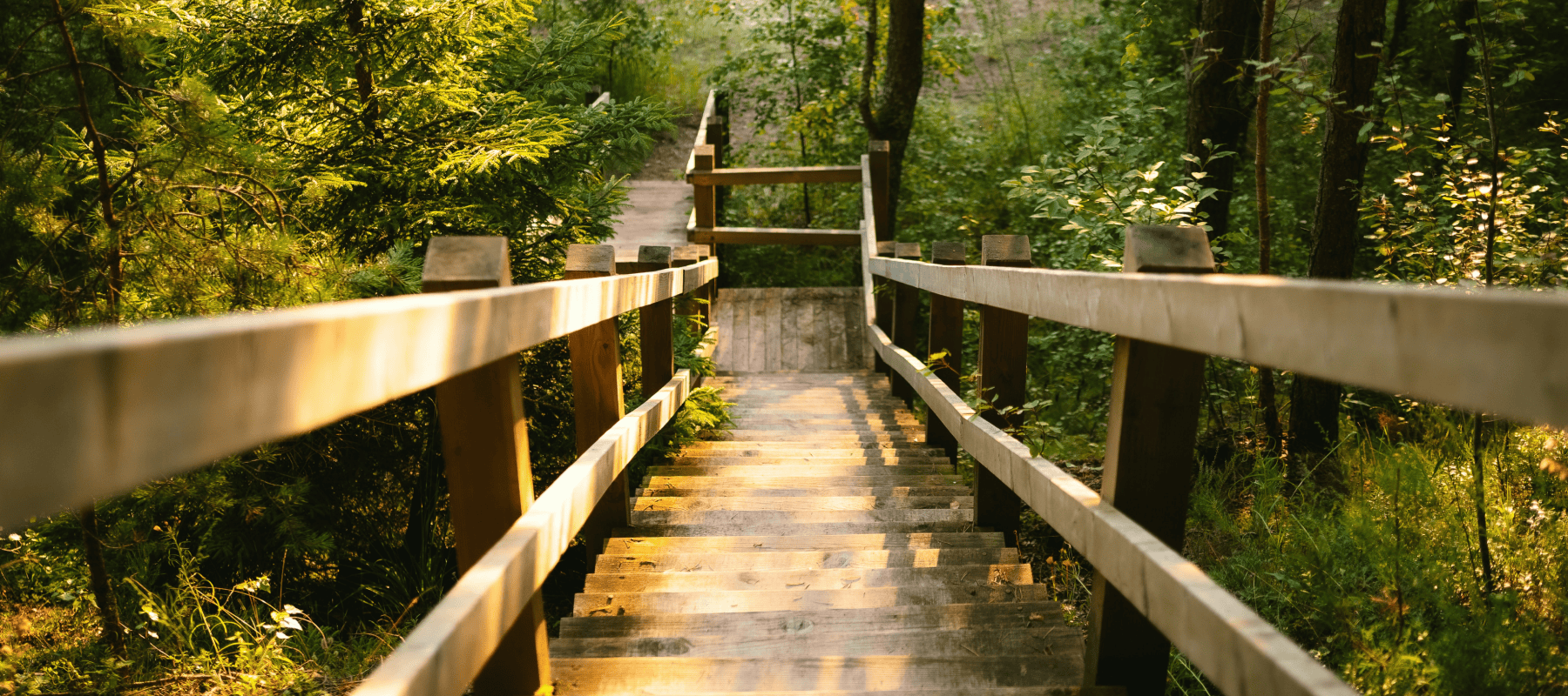 portfolio management software family office portfolio management software family office