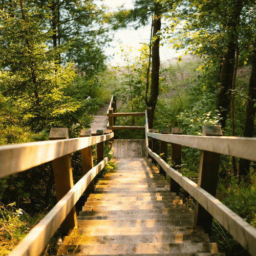 portfolio management software family office portfolio management software family office