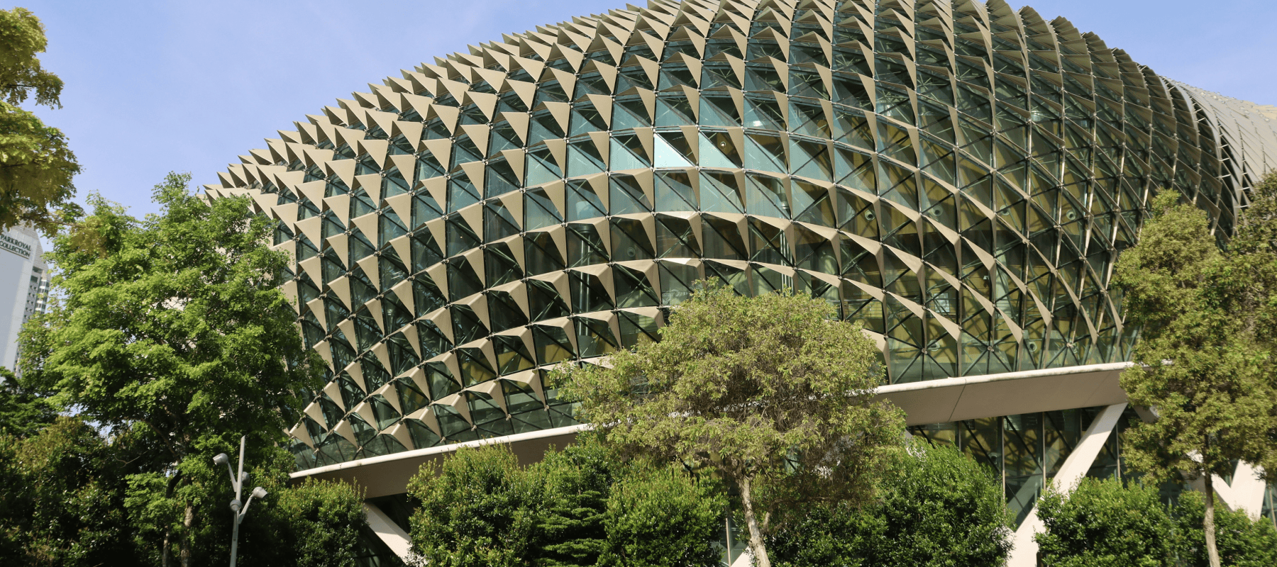 singapore family office feature singapore family office feature