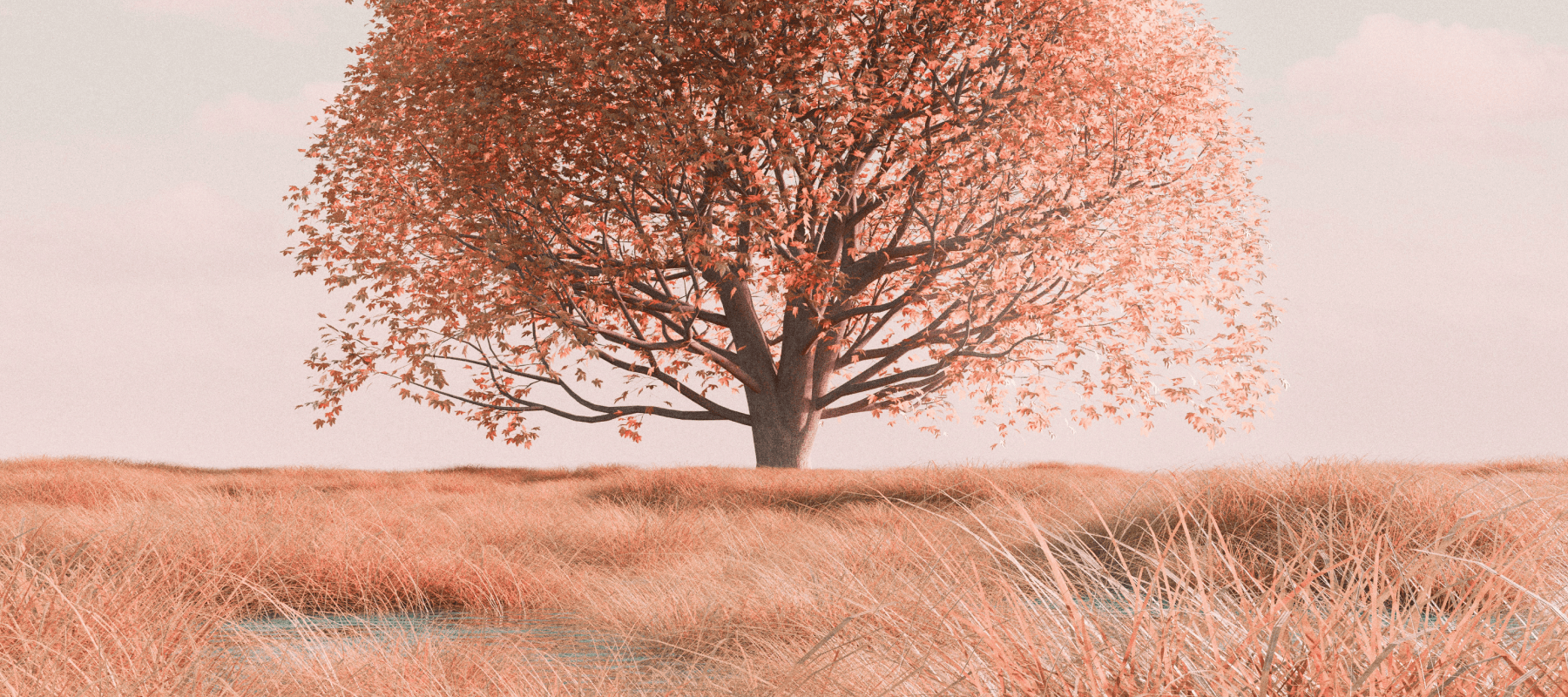 family office services family office services