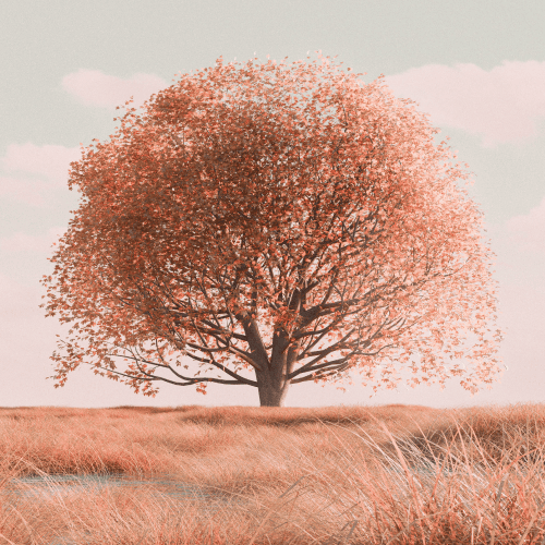 family office services family office services