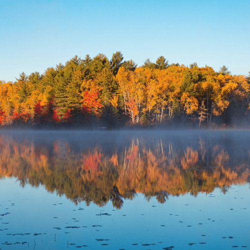 Calm lake with autumn trees reflected in the water, symbolising family office reputation and visibility Calm lake with autumn trees reflected in the water, symbolising family office reputation and visibility