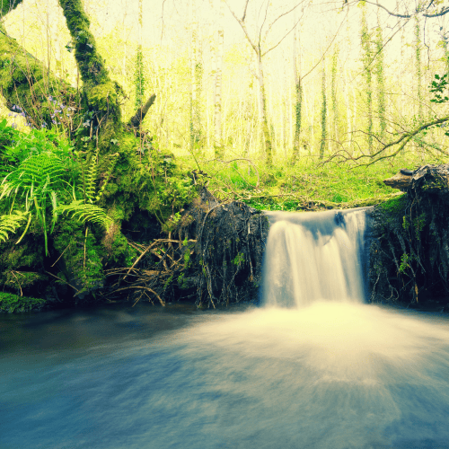 Family office investment trends and global capital flows – forest reflection imagery Family office investment trends and global capital flows – forest reflection imagery