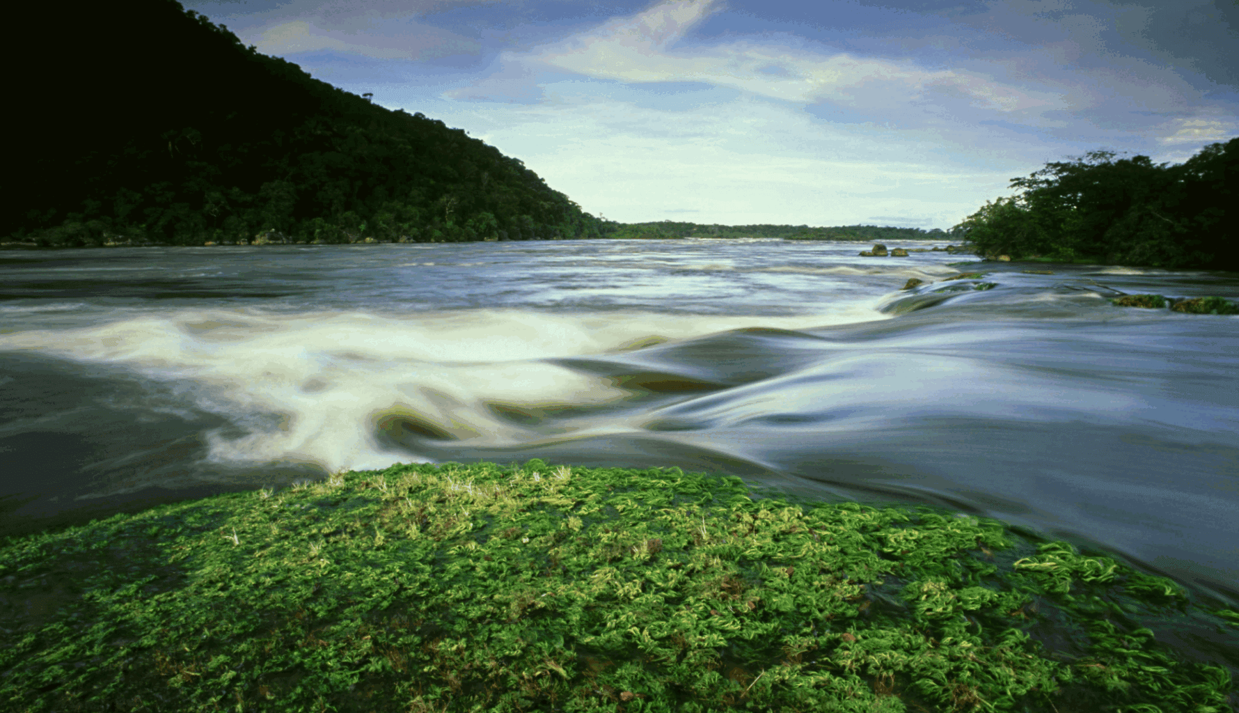 Fast-flowing river with green vegetation in the foreground, symbolising hidden drains on family office portfolios. Fast-flowing river with green vegetation in the foreground, symbolising hidden drains on family office portfolios.