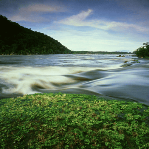 Fast-flowing river with green vegetation in the foreground, symbolising hidden drains on family office portfolios. Fast-flowing river with green vegetation in the foreground, symbolising hidden drains on family office portfolios.
