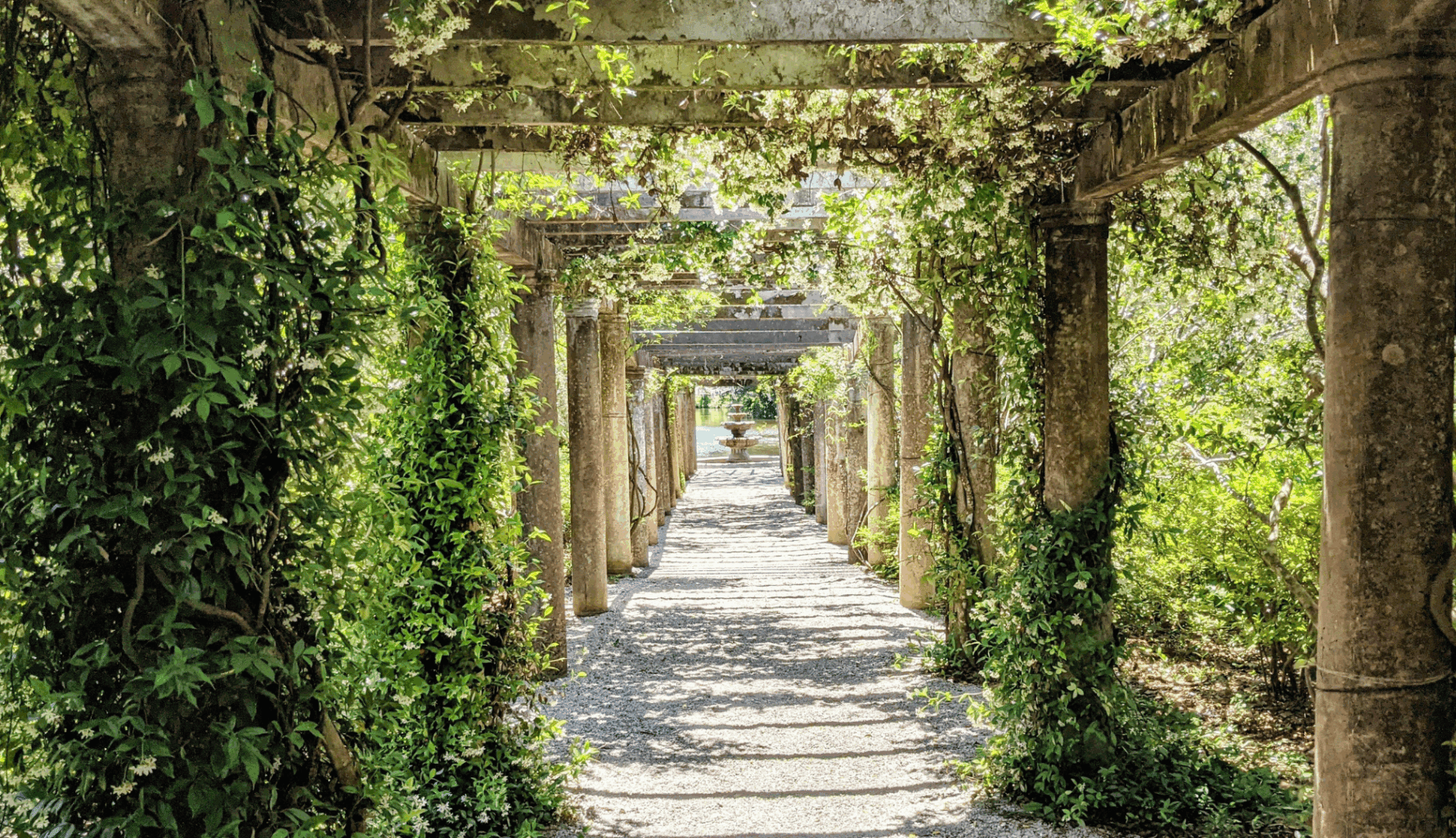Hopewell family office case study with MyFO platform – garden pathway image