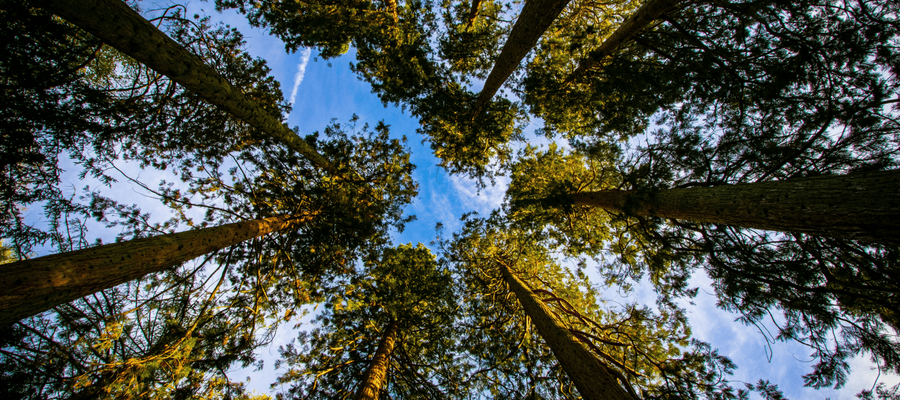 Unified Ledger Accounting for Family Offices Unified Ledger Accounting for Family Offices