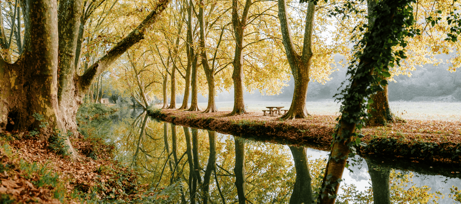 Vyzer on AI-powered family office platform – symbolic riverbank image Vyzer on AI-powered family office platform – symbolic riverbank image