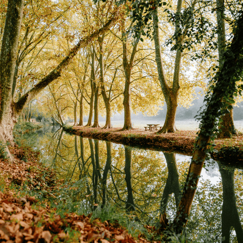 Vyzer on AI-powered family office platform – symbolic riverbank image Vyzer on AI-powered family office platform – symbolic riverbank image