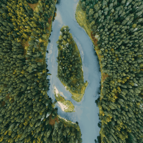 Aerial view of winding river through forest symbolising the decision journey of starting a single-family office