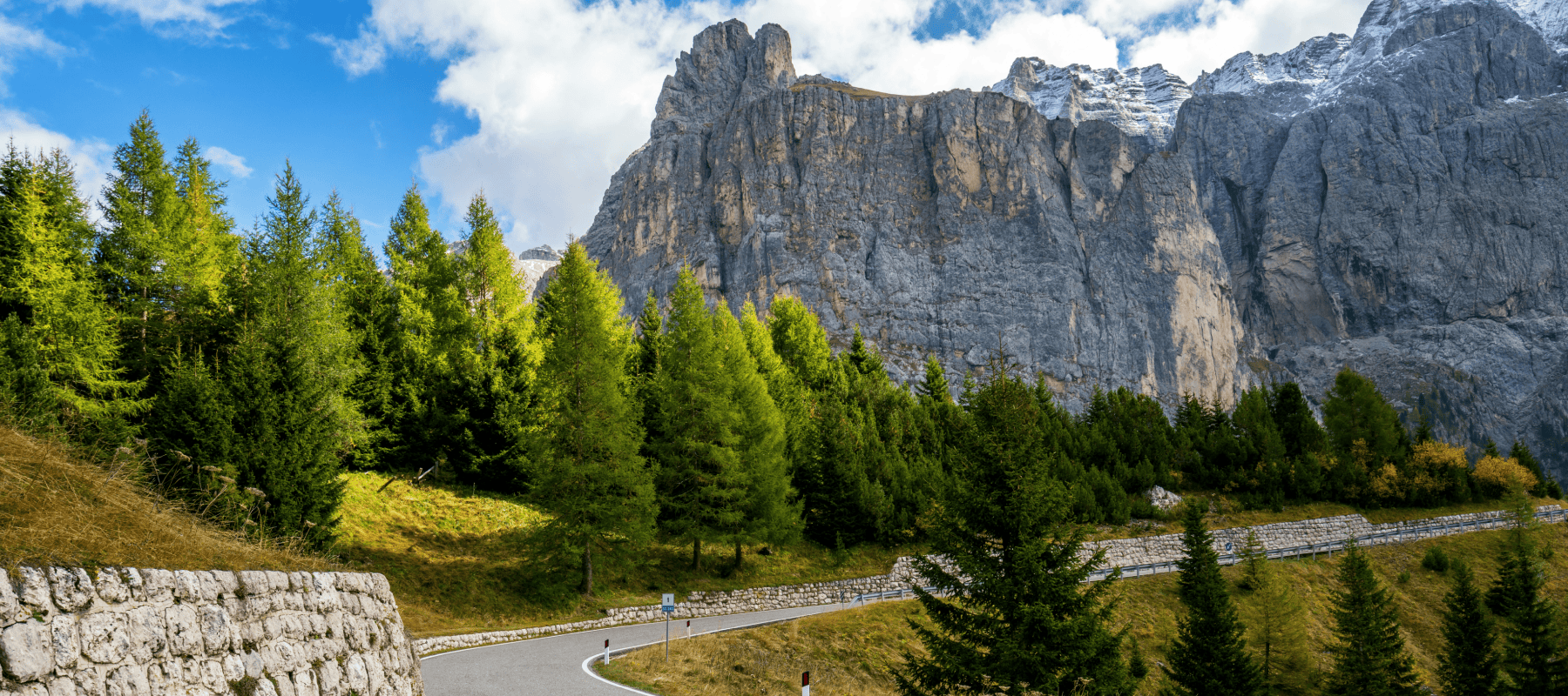 Mountain road winding through a forest towards high cliffs, symbolising a clear path to unified multi-asset management and reporting for family offices with FundCount.