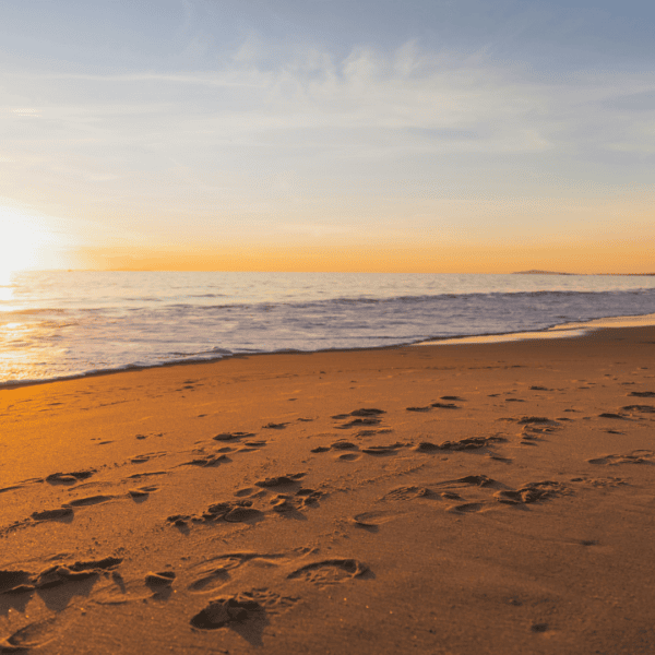 Footprints on a quiet shoreline at sunset, symbolising the unseen digital footprint and exposure risks faced by modern family offices Crisis24